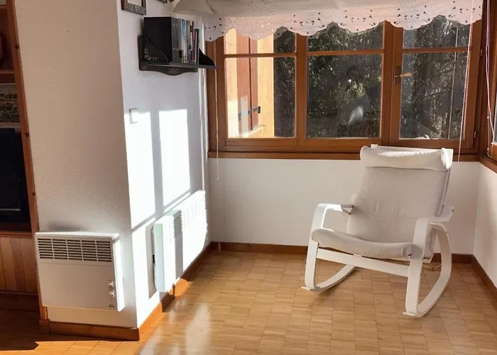 Appartement Amplio Con Gimnasio Y Piscina, Ideal Familias Enveitg